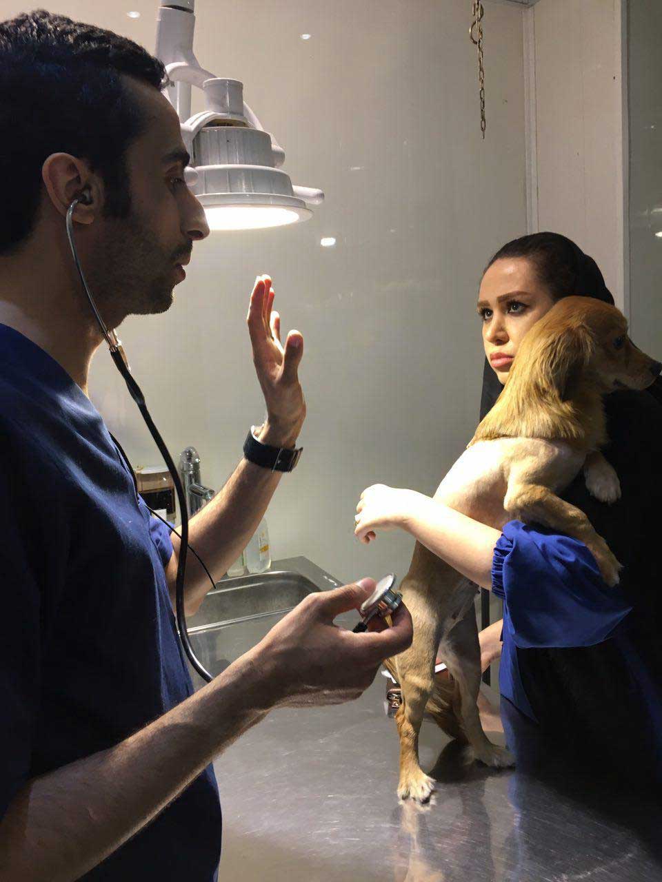 درمان آسم حیوانات در دامپزشکی درین