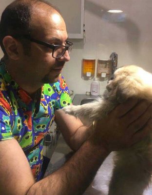 درمان مدفوع خونی سگ در دامپزشکی شبانه روزی