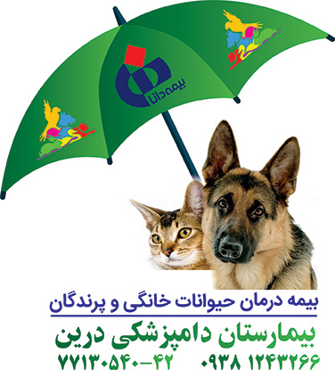 بیمه درمان حیوانات خانگی و پرندگان