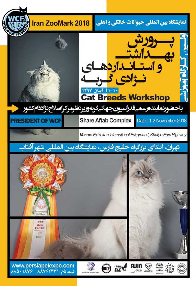 مسابقه بین المللی خلوص نژادی گربه در دامپزشکی درین