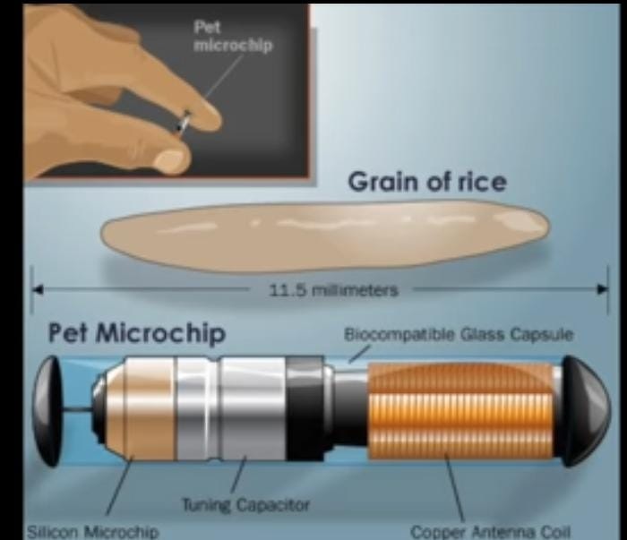 میکروچیپ (Microchip)