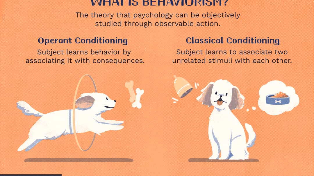 شرطی سازی موثر در سگ